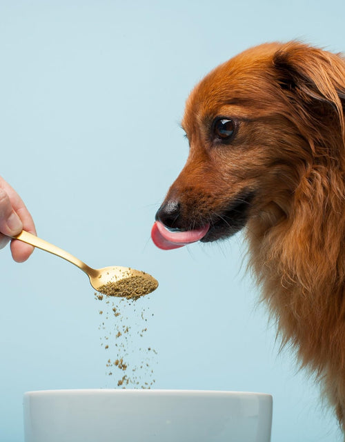Load image into Gallery viewer, Pet Kelp Probiotic Powder Formula, Organic &amp; Limited Ingredient Superfood Supplement, Kelp, Flaxseed, Pumpkin &amp; Probiotics, Omegas &amp; Probiotics for Digestive Health for Puppy, Adult &amp; Senior Dogs, 8Oz
